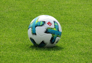 开云体育在线-德甲防守战术转变对定位球防守效果的影响分析，德国足球防守大师