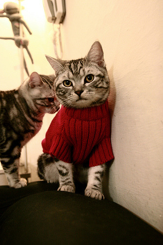 开云体育官网登入-自由泳转身完成时间平均为0.68秒，自由泳转身是哪里发力