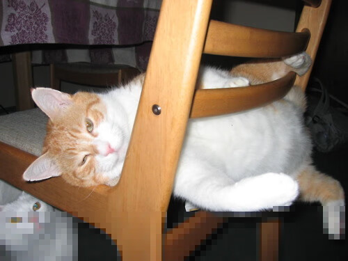 开运体育电脑版-中国足球试点校园选拔制选手进入职业梯队通道，2020年校园足球国家队选拔