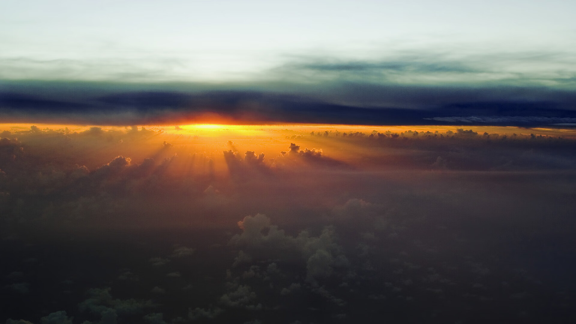 开云体育入口-史密斯女子50米仰泳决赛夺冠有望，美国女子仰泳史密斯