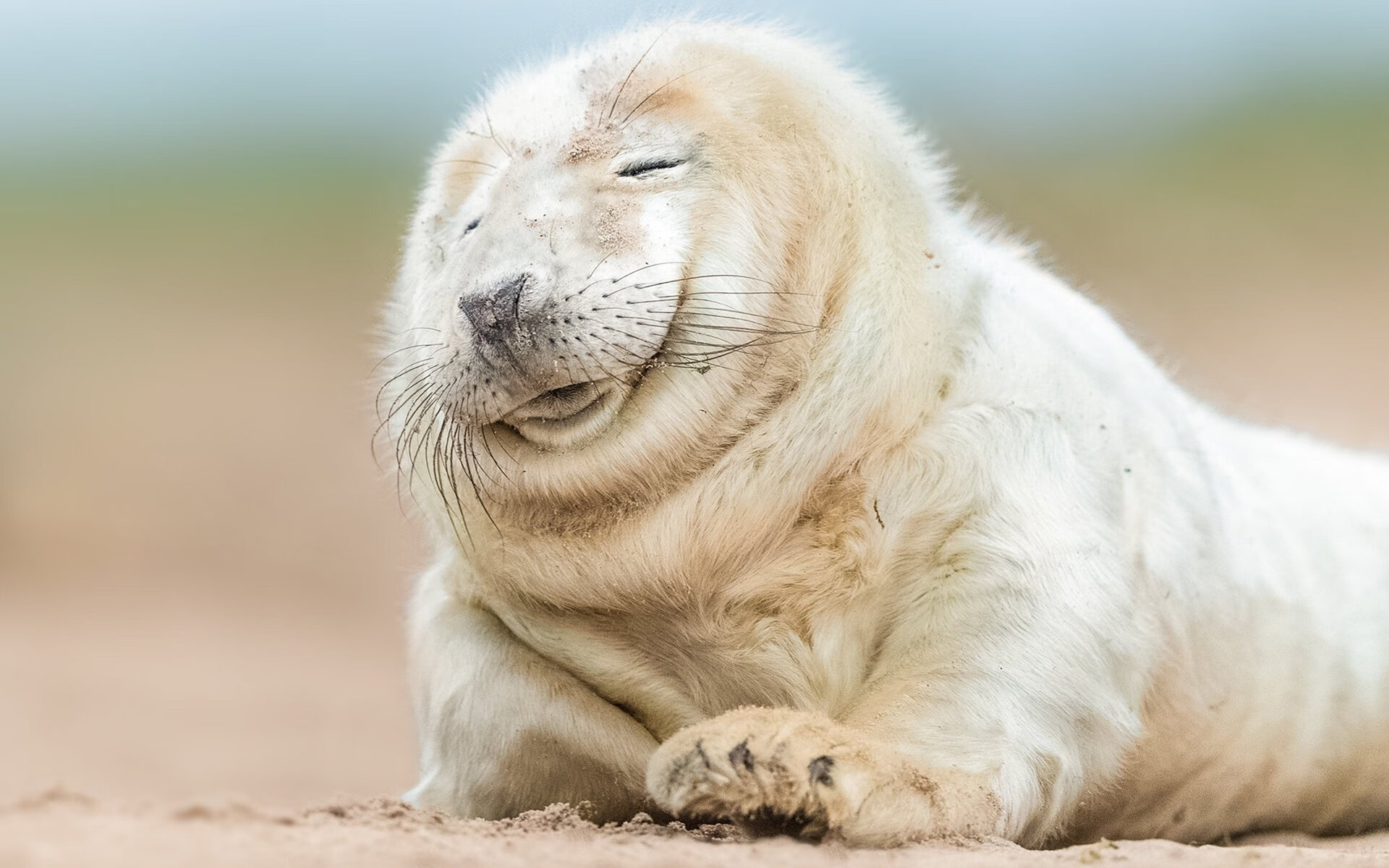 校园篮球联赛持续升温助力中国篮球未来储备，我国高校篮球发展现状