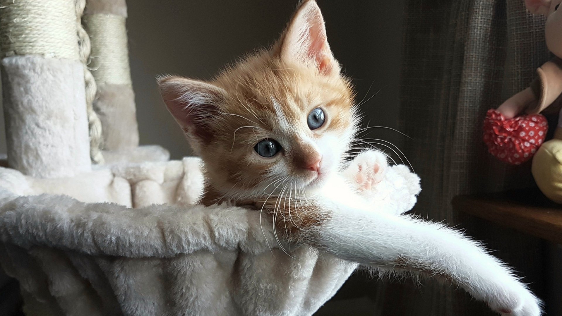 中国足球国家队注重体能与技能同步发展，国家足球队体能教练