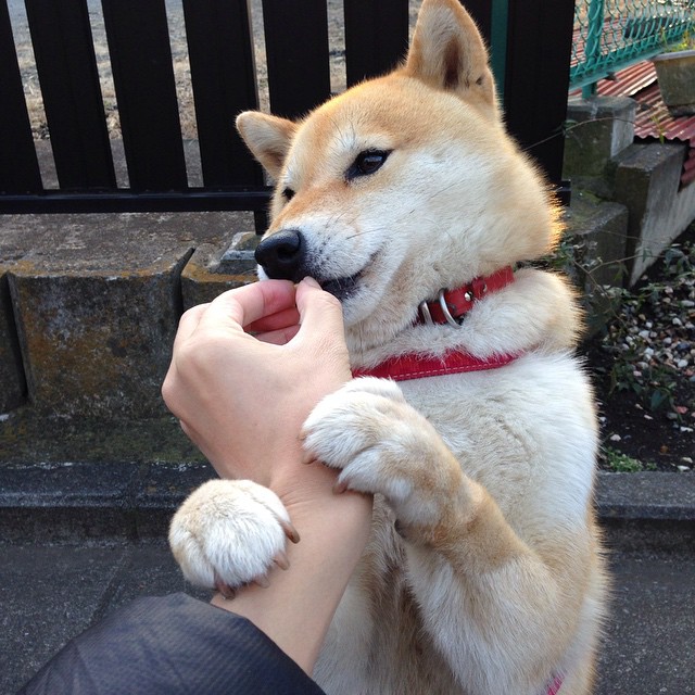 开云体育官网在线-中超是否推动建立中立第三方伤病康复联盟，中超成立职业联盟