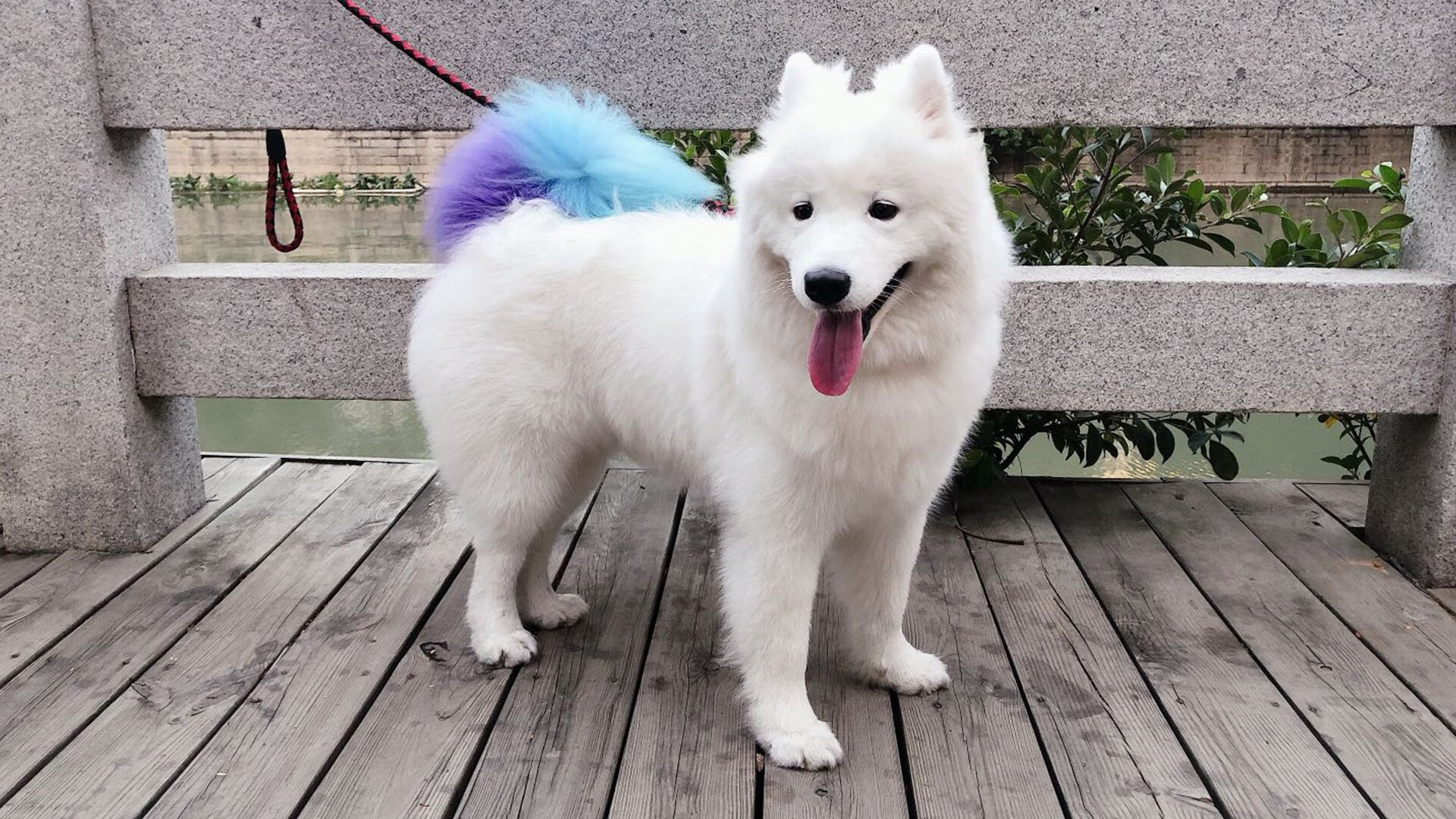 开云官方网-中超联赛球队体能训练体系升级，中超体能测试的标准