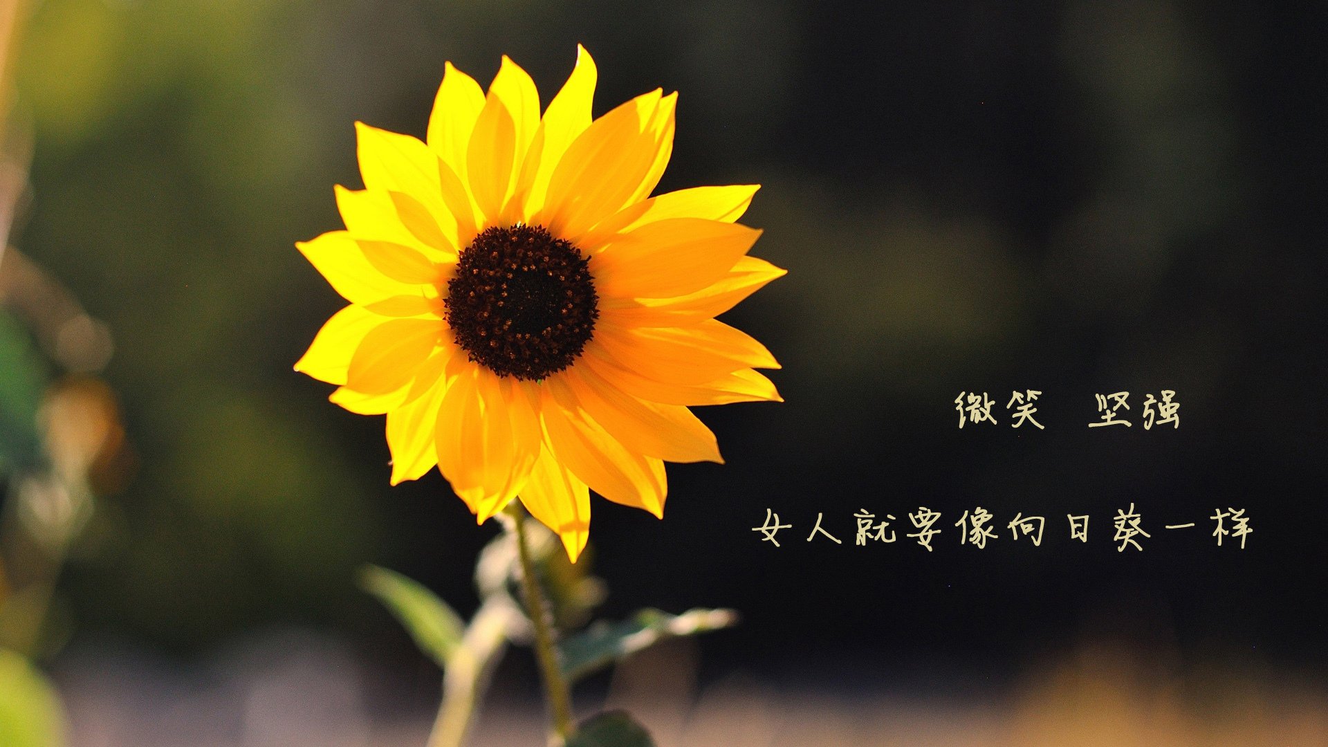 kaiyun开云体育-体育新闻中心助力体育企业公关内容管理，体育新闻公司