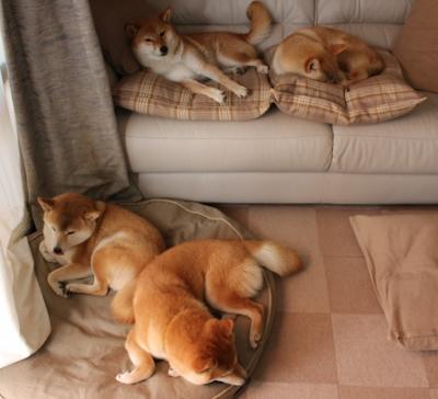 体育新闻中心记录体育场馆社会化运营宣传案例,体育场馆营销方案案例